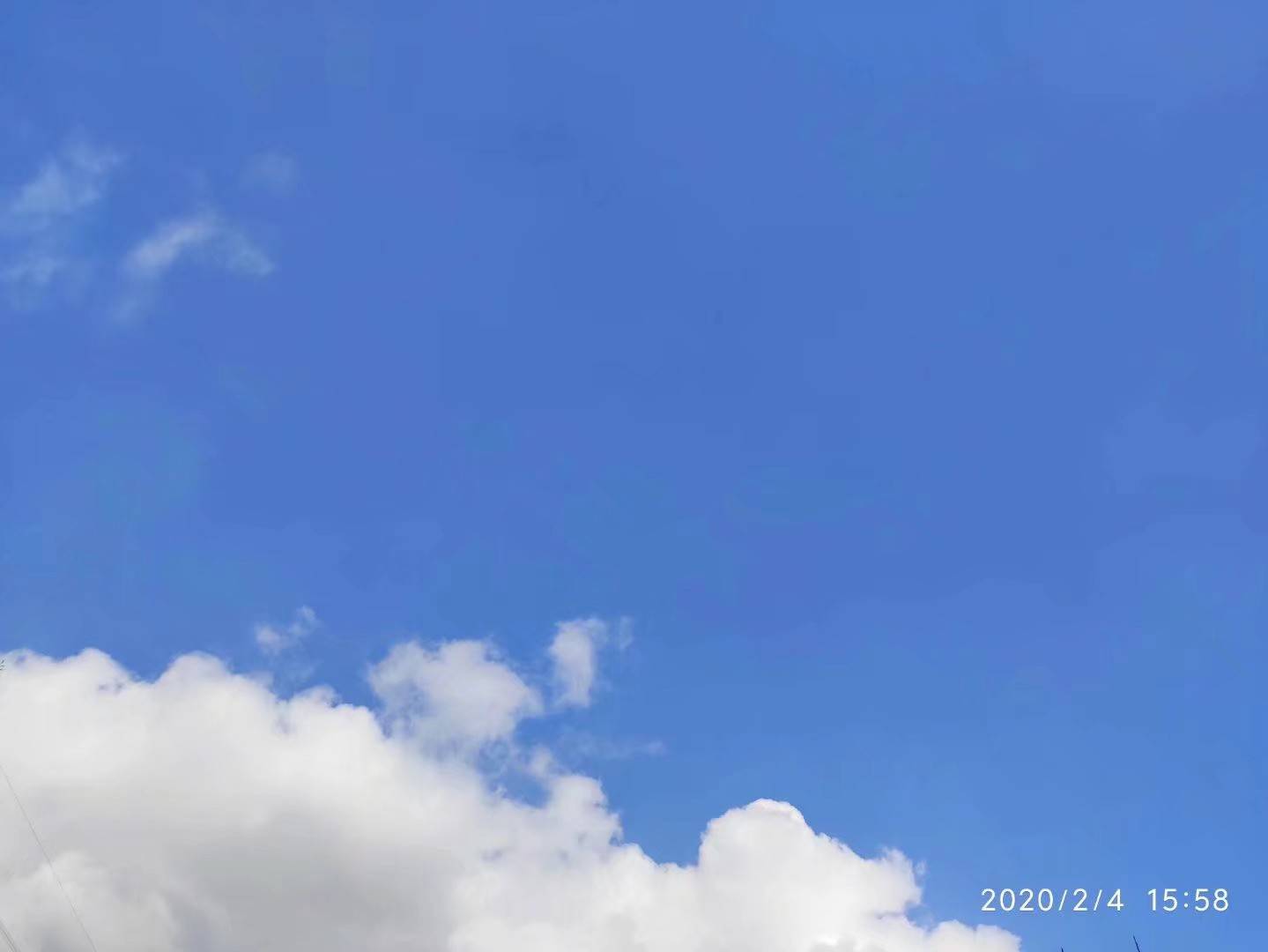 3026488211@qq.com@piziku