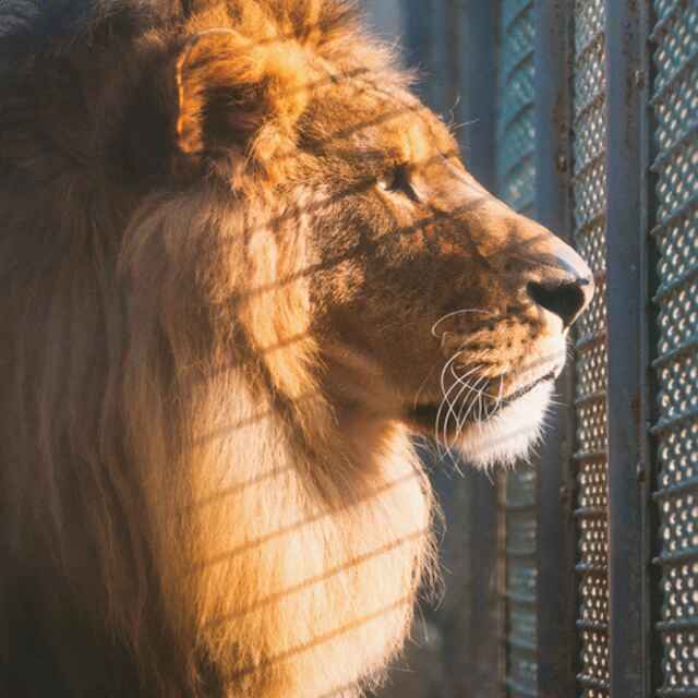 285437938@qq.com@piziku